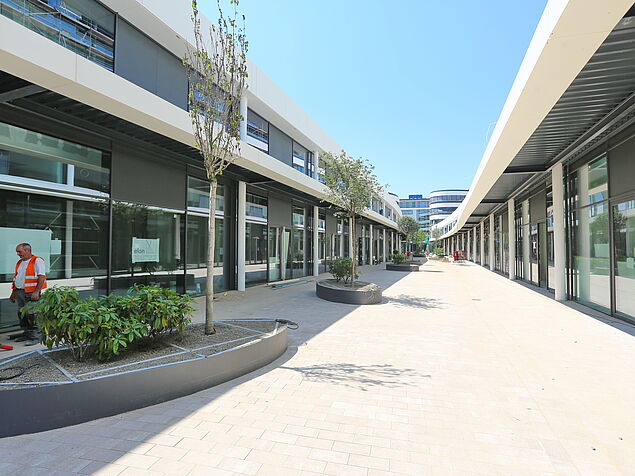 Einkaufsstraße mit Bepflanzungen und Sitzgelegenheiten
